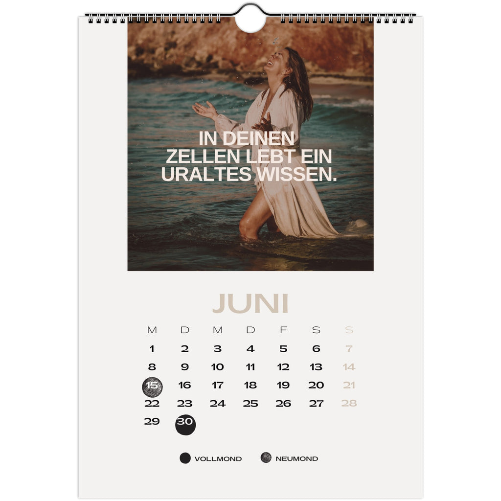 e4f8e506-7cfa-4000-b3b0-c6b5901f6442